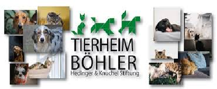 image-10613252-Tierheim_Böhler_2-aab32.png?1595154230156